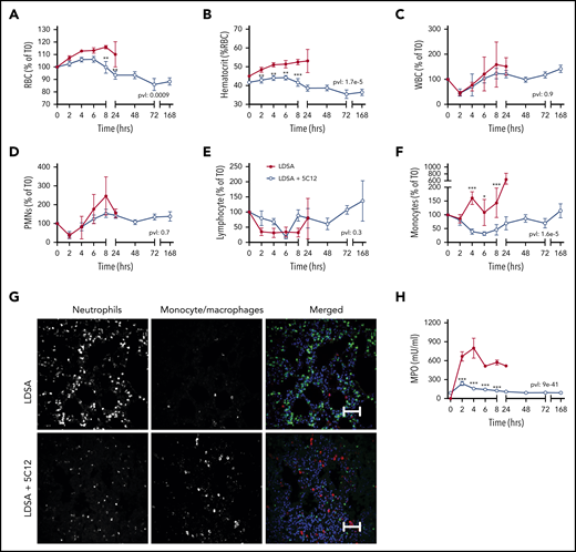 Effects of 5C12 anti-FXII antibody treatment on blood cell counts, leukocyte accumulation in tissues, and neutrophil activation markers in baboons following lethal challenge with HI-SA (LDSA). (A-F) Time course dynamics of RBCs (A), hematocrit (B), white blood cells (WBCs) (C), polymorphonuclear neutrophils (PMNs) (D), lymphocytes (E), and monocytes (F) in animals infused with LDSA only or infused with LDSA and treated with 5C12 (LDSA + 5C12). (G) Immunofluorescence staining for neutrophil elastase (left), and CD68 (middle) as markers for neutrophils and monocytes/macrophages, respectively, in lungs of baboons challenged with LDSA, without (top) or with 5C12 treatment (LDSA + 5C12; bottom). Merged color images are shown in the right panels. Nuclei were stained with To-PRO-3 (blue). Scale bars, 100 µm. Confocal images were captured by using a Nikon Eclipse TE2000-U microscope equipped with a Nikon C1 scanning head; the Nikon EZ-C1 software (version 3.80) was used for image acquisition. (H) Time course changes of MPO activity in plasma. Same time points are compared between the treated and untreated baboons by using the generalized least squares (gls) function. *P < .05; **P < .01; ***P < .001. The overall P value (pvl) describing the difference between the 2 curves is shown on each graph. P < .05 is considered significant.