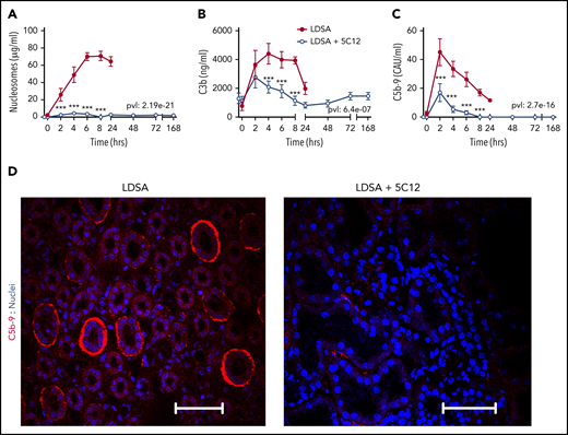 5C12 anti-FXII antibody treatment decreases complement activation after challenge with a lethal dose of HI-SA (LDSA). (A-C) Time course dynamics of plasma levels of nucleosomes, a cell death marker (A), and of complement activation markers C3b (B) and soluble C5b-9 (C). Same time points are compared between the control baboons (LDSA) and the 5C12-treated animals (LDSA + 5C12) using the generalized least squares (gls) function. *P < .05; **P < .01; ***P < .001. The overall P value (pvl) describing the difference between the 2 curves is shown on each graph. P < .05 is considered significant. (D) Immunofluorescence staining of C5b-9 terminal complement complex (red) in kidneys of baboons challenged with LDSA, without (left) or with 5C12 treatment (LDSA + 5C12; right). Nuclei were stained with To-PRO-3 (blue). Scale bars, 100 µm. Confocal images were captured by using a Nikon Eclipse TE2000-U microscope equipped with a Nikon C1 scanning head; the Nikon EZ-C1 software (version 3.80) was used for image acquisition.
