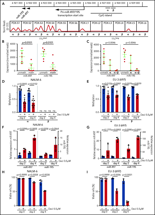 miR-497/195 regulation by promoter methylation in BCP-ALL. (A) Locus of miR-497/195, with the upstream CpG island and methylated region α (chr17: 6 926 487-6 926 780) and β (chr17: 6 926 900-6 927 200, identified in this study). In the lower panel, methylation status for the xenograft samples is shown as normalized (Norm) read count. (B) Expression of miR-497 and miR-195 in pdx samples methylated (meth) or nonmethylated (unmeth) in the promoter region. (C) Expression of miR-497 and miR-195 in pdx samples methylated in region α, region α and β (α+β), or nonmethylated. (D-E) Methylation level of regions α and β upon treatment with decitabine (Deci) 0.5 µM or dimethyl sulfoxide (DMSO) in cell lines (D) NALM-6 and (E) EU-3 (697), as assessed by MassARRAY. Individual data points represent the average of biological replicates for each amplicon belonging to the indicated region. na = not available. (F-G) Expression of miR-497 and miR-195 in cell lines (F) NALM-6 and (G) EU-3 (697) after 2 or 4 days of treatment with decitabine 0.5 µM; expression relative to untreated cells. (H-I) Percentage of viable cells in (H) NALM-6 and (I) EU-3 (697) treated with decitabine 0.5 µM or DMSO. Data are presented as mean ± SD compared between groups (Mann-Whitney U test, horizontal lines).