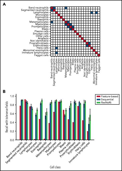 Both CNN models outperform the feature-based classifier in terms of tolerant class-wise recall. (A) Some morphological classes can be difficult to distinguish, so that a misclassification can be considered tolerable. Strict classification evaluation accepts only precise agreement of ground truth and network prediction, as shown in the red diagonal entries of the matrix. Mix-ups that are considered tolerable are colored blue. (B) Tolerance improvement for key classes. Error bars indicate standard deviation across 5 cross-validation folds. For segmented neutrophils and lymphocytes, performance of the feature-based classifier is slightly higher than of the neural networks. In all other classes, both CNNs consistently outperform the feature-based classifier of Krappe et al.13 This might be due to the distinctive signal of the nuclear shape of segmented neutrophils and lymphocytes in feature space. Additionally, ResNeXt outperforms the sequential network in several key classes, reflecting the greater complexity of the network used.