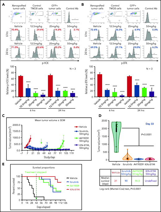 PD and efficacy studies of KIN-8194 in ibrutinib-sensitive BTKWT-expressing TMD-8 ABC DLBCL xenografted mice. PD studies showing the activity of HCK and BTK after oral administration of KIN-8194 in NOD-SCID mice subcutaneously xenografted with ibrutinib-sensitive BTKWT TMD-8 ABC DLBCL cells. Phosflow plots for (A) pHCKY410 and (B) pBTKY223 in GFP+ TMD-8 tumor cells excised at 6 and 24 hours after oral administration of KIN-8194 at the indicated doses (n = 3 per group). (C) Efficacy studies in NOD-SCID mice (n = 8 per cohort) bearing ibrutinib-sensitive BTKWT TMD-8 cells after daily oral administration of vehicle control, ibrutinib, A419259, or KIN-8194 at 50 mg/kg. Tumor volume (mm3) was measured twice per week and reported as the mean volume ± standard error of the mean (SEM). Treatment was stopped (indicated by green arrow) at day 42 and tumor volumes were monitored until day 113. (D) Tumor volume comparisons at day 33. P values for comparisons against mice treated with vehicle control are shown. (E) Survival curve estimations using the Kaplan-Meier method. The median survival (days) for cohorts were determined by using Prism software. P < .0001 for log-rank comparisons between cohorts. ****P < .0001.