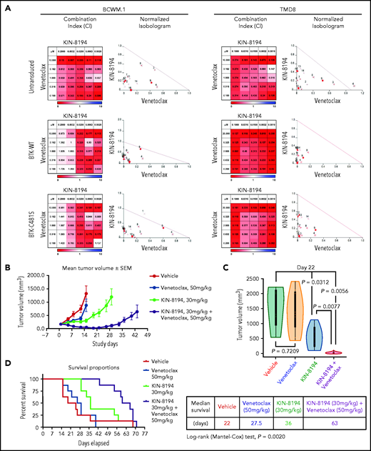Studies assessing synergistic interactions of KIN-8194 and the BCL_2 inhibitor venetoclax. (A) In vitro studies assessed for synergistic interactions of KIN-8194 and venetoclax in native (untransduced), BTKWT-, and BTKCys481Ser-expressing MYD88-mutated BCWM.1 WM and TMD-8 ABC DLBCL cells. The combination index (CI) and normalized isobologram analyses are depicted. CI <1 (indicated in shades of red) or the dots under the oblique line in the isobologram plots indicate a synergistic effect for the combination. (B) Efficacy studies in NOD-SCID mice (n = 8 per cohort) bearing ibrutinib-resistant BTKCys481Ser-expressing TMD-8 cells after daily oral administration of vehicle control, venetoclax (50 mg/kg), KIN-8194 (30 mg/kg), or the combination of venetoclax (50 mg/kg) and KIN-8194 (30 mg/kg). Tumor volume (mm3) was measured twice per week and reported as the mean volume ± SEM. (D) Tumor volume comparisons at day 22. P values are for cohort comparisons. (E) Survival curve estimations using the Kaplan-Meier method. Prism software was used to determine the median survival in days for cohorts. P = .002 for log-rank comparisons between cohorts.
