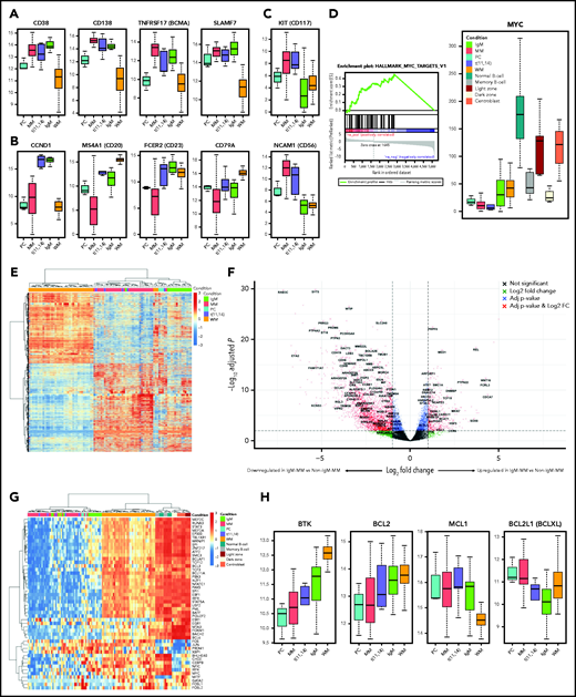 Gene expression profiles. (A) IgM-MM shows similar transcript expression of key MM proteins. (B) IgM-MM shows similar transcript expression of key t(11;14) MM proteins. (C) IgM-MM–specific transcript expression shows low levels of CD56 and CD117. (D) MYC gene set enrichment analysis and transcript levels showing upregulation in IgM-MM compared with non–IgM-MM. (E). Clustering of protein coding genes differentially expressed between non–IgM-MM and WM, showing preferential clustering of IgM-MM subtype with other MM samples and suggesting a unique transcriptional signature in this subgroup. (F) Volcano plot of differentially expressed genes between IgM-MM and non–IgM-MM with similarly differentially expressed genes between WM and non–IgM-MM labeled. (G) Heat map of B-cell–specific transcription factors expression profiles showing preferential clustering of IgM-MM subtype with other MM samples and separation in IgM-specific signature, and closer homology between WM and immature B cells. (H) Expression levels of clinically relevant genes. FC, fold change; NS, not significant.