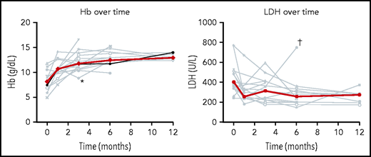 Hb and LDH response after the initiation of ibrutinib therapy. Gray lines represent individual data of Hb and LDH; bold line represents median Hb and LDH over time. *Hb decrease at 3 months was considered related to hospital admission for a hip fracture and surgery. †Increased LDH was considered related to the initiation of G-CSF for neutropenia, because other hemolytic parameters were not increased.