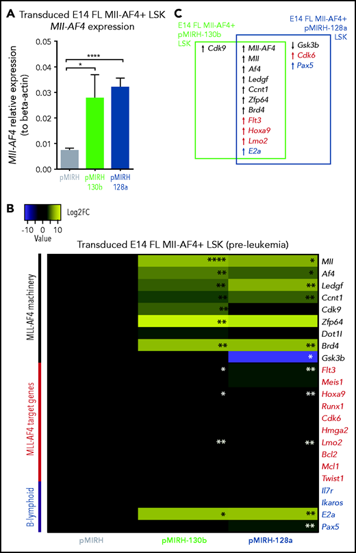 Mll-AF4+ pMIRH-130b/pMIRH-128a+ cells display a gene expression profile similar to MLL-AF4+ patient blasts. (A) Mll-AF4 expression in transduced/GFP+ E14 FL Mll-AF4+ LSK (preleukemia and pretransplantation). (B) Heatmap of gene expression in transduced E14 FL Mll-AF4+ LSK. (C) Summary of the gene expression results of transduced E14 FL Mll-AF4+ LSK. (D) Mll-AF4 expression in total BM cells of control and leukemic mice. (E) Heatmap of gene expression in total BM cells. (F) Summary of the gene-expression results of total BM cells. Data were compared using a Mann-Whitney U test. *P < .05; **P < .01; ***P < .001; ****P < .0001. Experiments were conducted in triplicate or more. Heatmaps present the log2 fold change (log2FC) of gene expression, using Mll-AF4+ pMIRH (Control) as a reference.