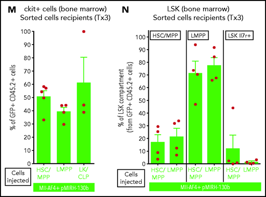 Mll-AF4+ pMIRH-130b and Mll-AF4+ pMIRH-128a leukemia are propagated by different leukemic stem cells. (A) Experimental design. All sorted cells were retrieved from recipients originally transplanted with total BM cells. Secondary recipients received cells retrieved from the BM of FL Mll-AF4+ LSK primary recipients. Tertiary recipients received cells from the BM of total BM secondary recipients. Survival curves of (B) secondary and (C) tertiary transplants of mice that received sorted HSCs/MPPs (LSK Il7r− Flt3−), LMPPs (LSK Flt3+), or LK/CLPs (Lineage-Sca1low/-ckit+) from the BM of Mll-AF4+ pMIRH-130b sick mice. Survival curves of (D) secondary and (E) tertiary transplants of mice that received sorted HSCs/MPPs, LMPPs, LK/CLPs, or LSK Il7r+ from the BM of Mll-AF4+ pMIRH-128a sick mice. GFP chimerism in the BM of (F) secondary and (G) tertiary recipients. (H) Proportion of hematopoietic cells in secondary recipients of LMPPs from Mll-AF4+ pMIRH-130b sick mice. Spleen and liver weight are also indicated. (I) Spleen and (J) liver weight of sick tertiary recipients that received sorted HSCs/MPPs, LMPPs, LK/CLPs, or LSK Il7r+ from the BM of Mll-AF4+ pMIRH-130b or Mll-AF4+ pMIRH-128a sick mice. (K) Proportion of myeloid cells, mixed lineage cells, B-lymphoid cells, and ckit+ Il7r+ cells. (L) T-lymphoid cells in the BM of tertiary recipients of sorted cells from Mll-AF4+ pMIRH-130b or Mll-AF4+ pMIRH-128a sick mice. Proportion of (M) ckit+ cells and (N) HSCs/MPPs, LMPPs, and LSK Il7r+ cells in the BM LSK compartment of tertiary recipients of sorted cells from Mll-AF4+ pMIRH-130b sick mice. Graphs are presented as mean ± standard error of the mean (1 dot = 1 mouse).