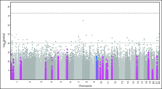 Manhattan plot of pQTL analysis of C5 and complement-related genes adjusted for age, sex, BMI, and VTE status. The dashed lines indicate the genome-wide (top) and C5 cis-region (lower) P-value thresholds for significance. The blue squares mark variants in the ±500 kb cis region around the transcription start/stop of the C5 gene. The purple triangles mark variants in the complement-related genes listed in supplemental Table 2.