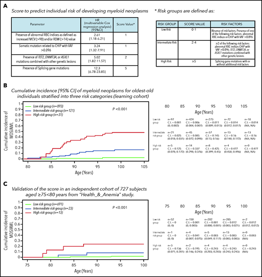 CHIP and risk of developing myeloid neoplasms. (A) Definition of a score based on specific mutational patterns (CHIP) and RBC indices to predict the risk of developing myeloid neoplasms. To define a risk score for developing myeloid neoplasms, we used HR from a multivariable Cox analysis on the Health_&_Anemia cohort (learning cohort) adjusted for age and sex, including mutational status (splicing mutations; comutation patterns involving TET2, DNMT3A and ASXL1; and VAF >0.096) and nonmutational parameters (RBC indices) as covariates. A diagnosis of myeloid neoplasm (including myelodysplastic syndrome and acute myeloid leukemia) was considered as event; subjects were censored at the end of follow-up or at time of death. (B) Cumulative incidence (C.I.) of myeloid neoplasms for individuals aged ≥80 years stratified into 3 risk categories (learning cohort). Cumulative incidence was calculated by Kaplan-Meier method (death for any cause was considered as competing-event in the estimation of cumulative incidence function). Left truncation was applied to calculate the cumulative incidence of myeloid neoplasms with age as the time scale. MDS/AML, myelodysplastic syndrome/acute myeloid leukemia. (C) Validation of the score on an independent cohort of 727 subjects aged ≥75 to <80 years from the Health_&_Anemia study.