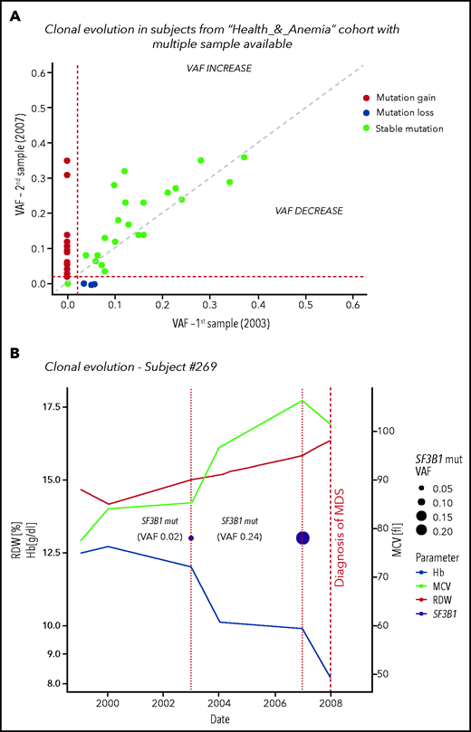 Clonal evolution in the population aged 80 years or older. (A) Clonal evolution in subjects from the Health_&_Anemia cohort with multiple samples available (n = 96). (B) Clonal evolution (subject 269). This female subject was born on 1921. In 1999, she displayed normal blood count. In 2003, a first mutational screening was performed with evidence of a mutation in SF3B1 gene with 0.02 VAF. At this time, the subject showed normal hemoglobin (Hb) level (12.1 g/dL), RDW (12), and MCV (87). Since 2003, this subject experienced increasing in RDW and MCV, and in 2007, a mild anemia was observed (10 g/dL). At this time, mutational screening showed increase in SF3B1 VAF (0.24). In 2008, a diagnosis of myelodysplastic syndrome with ring sideroblasts was performed. (C) Clonal evolution (subject 1145). This male subject was born in 1922. In 1999 blood count was normal. In 2003 a first mutational screening revealed a mutation in TET2 gene with 0.02 VAF. At this time, the subject showed a mild anemia (12.7 g/dL), with increased RDW (14.2) and normal MCV (89). In 2007, hemoglobin level decreased to 11.8 g/dL, and mutation analysis showed an increase in TET2 mutation VAF to 0.16. From 2007 to 2012, a further decrease in hemoglobin level, together with an increase in RDW and MCV, was noticed. In 2013, a diagnosis of myelodysplastic syndrome with unilineage dysplasia was made.