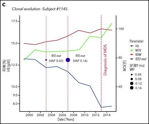 Clonal evolution in the population aged 80 years or older. (A) Clonal evolution in subjects from the Health_&_Anemia cohort with multiple samples available (n = 96). (B) Clonal evolution (subject 269). This female subject was born on 1921. In 1999, she displayed normal blood count. In 2003, a first mutational screening was performed with evidence of a mutation in SF3B1 gene with 0.02 VAF. At this time, the subject showed normal hemoglobin (Hb) level (12.1 g/dL), RDW (12), and MCV (87). Since 2003, this subject experienced increasing in RDW and MCV, and in 2007, a mild anemia was observed (10 g/dL). At this time, mutational screening showed increase in SF3B1 VAF (0.24). In 2008, a diagnosis of myelodysplastic syndrome with ring sideroblasts was performed. (C) Clonal evolution (subject 1145). This male subject was born in 1922. In 1999 blood count was normal. In 2003 a first mutational screening revealed a mutation in TET2 gene with 0.02 VAF. At this time, the subject showed a mild anemia (12.7 g/dL), with increased RDW (14.2) and normal MCV (89). In 2007, hemoglobin level decreased to 11.8 g/dL, and mutation analysis showed an increase in TET2 mutation VAF to 0.16. From 2007 to 2012, a further decrease in hemoglobin level, together with an increase in RDW and MCV, was noticed. In 2013, a diagnosis of myelodysplastic syndrome with unilineage dysplasia was made.