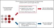 Graphical abstract for: Clinical relevance of clonal hematopoiesis in persons aged ≥80 years;