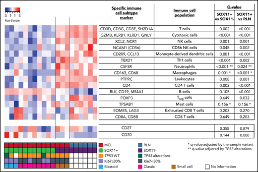 NanoString-based immune cell content in nodal MCLs. (A) Heatmap showing scaled (z score) raw abundance of different immune cell populations, and CD27 and CD70 mRNA expression, using the nCounter Analysis System, comparing the NanoString immune GEP of 11 SOX11-positive (SOX11+) and 3 negative (SOX11−) nodal MCLs, and 6 nontumoral reactive lymph nodes (RLN) samples. Red indicates high abundance; blue indicates low abundance. Genes used as specific immune cell subtype markers to determine different immune cell populations and the adjusted P values are indicated in the right part of the heatmap. P value correction was performed independently for immune cell populations and for individual genes. The comparisons in the macrophages, mast cells, and neutrophils immune cell populations were adjusted by potential confounding factors (*blastoid/pleomorphic cytological variant for the first 2 and **TP53 alterations for the latter) (supplemental Figure 1D-F). Molecular features of MCL cases are shown at the bottom.