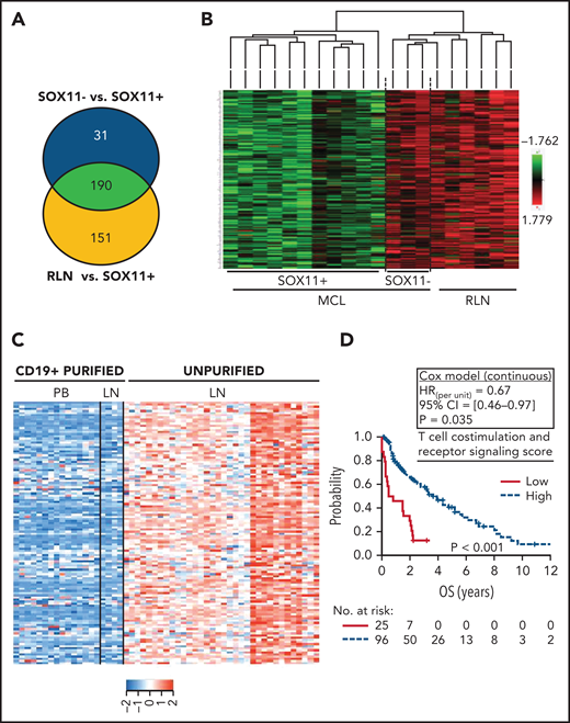 Downregulation of transcripts related to T-cell costimulation, activation, and receptor signaling pathway DAVID annotated functions in SOX11+ nodal MCLs is associated with worse outcome. (A) Venn diagram showing the overlap between the NanoString-based statistically significant downregulated genes in SOX11+ compared with SOX11− nodal MCL (221 genes; blue circle) and SOX11+ compared with RLNs (341 genes; yellow circle). Genes with an adjusted P < .15 were considered. (B) Heatmap showing common 190 significant downregulated genes in SOX11+ compared with SOX11− nodal MCLs and RLNs. Red represents increased scaled expression and green reduced expression. (C) Heatmap illustrating the scaled expression of 124 genes, significantly downregulated in SOX11+ compared with SOX11− nodal MCLs and RLNs, in the previously published data of 34 unpurified nodal MCL (unpurified LN), 4 CD19+ purified cells from the same LN and 15 CD19+ purified cells from the peripheral blood (PB) samples of SOX11+ MCLs (GSE70910). Red represents increased expression and blue decreased expression. (D) Kaplan-Meier curve and Cox regression showing the association of the T-cell costimulation, activation, and receptor signaling score with OS, using 121 nodal MCL cases previously published (GSE93291) (see supplemental Methods). The score was calculated as the average expression of the genes included in the corresponding T-cell ontology functions (supplemental Table 7) by the Database for Annotation, Visualization and Integrated Discovery (DAVID) software. High values were defined by Maxstat (cutoff point = 7.6). Log-rank test P value, hazard ratio (HR) with 95% confidence interval (CI), and Cox regression P value are shown. LN, lymph node.