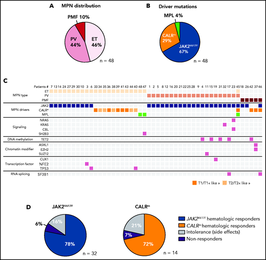 Characterization of the IFNα-treated MPN patient cohort. (A) Distribution of MPN diseases. (B) Distribution of MPN driver mutations. (C) Diseases and the molecular profile determined using an NGS myeloid panel of 77 genes of the first sample collected from the 48 patients in the studied cohort. P45 presented 2 diseases, ET/PV, based on its molecular profile (JAK2V617F and CALRm) and its high platelets count and hematocrit (75%) (D) Percent of hematologic response, nonresponse, or intolerance among patients with JAK2V617F or CALRm MPNs.