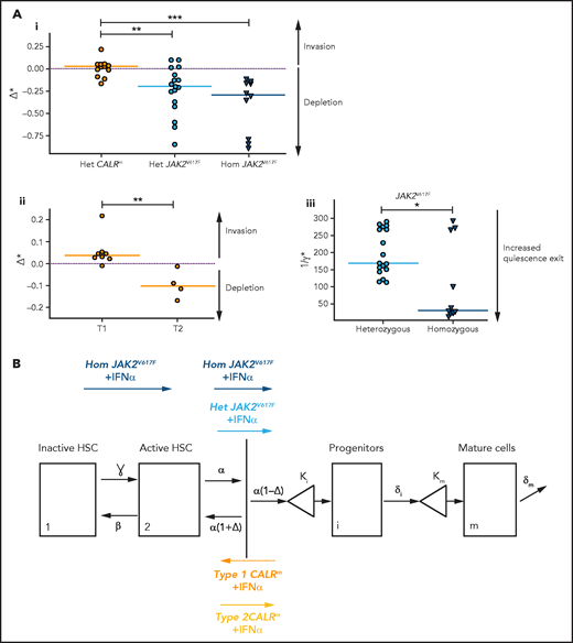 IFNα differentially impacts on JAK2V617F and CALRm HSC homeostasis. (A) Graphs indicate the means values (solid lines) of the estimated parameters calculated using the mathematic model. (i) Δ* parameters were calculated in heterozygous and homozygous JAK2V617F HSCs and heterozygous CALRm HSCs. Δ*het significantly differs in patients with CALRm MPN vs those having JAK2V617F MPN (Mann-Whitney U test, P = .0031). Δ*het in patients with CALRm MPN is significantly different from Δ*hom of those having JAK2V617F MPN (Mann-Whitney U test, P < .0001). The dotted lines indicate Δ* = 0. Δ* > 0 corresponds to an expansion, and Δ* < 0 corresponds to a depletion of the stem compartment. (ii) Δ*het parameters were calculated in type 1 and type 2 CALRm HSCs. Δ*het significantly differs in patients with type 1 CALRm MPN vs those with type 2 CALRm MPN (Mann-Whitney U test, P = .004). (iii) Inverse ratios of the ɣ* parameter was calculated in heterozygous vs homozygous JAK2V617F HSCs. The 1/ɣ* value can be seen as a relative time spent by cells in the inactive compartment of our model. The 1/ɣ* significantly differs in heterozygous vs homozygous JAK2V617F HSCs (Mann-Whitney U test, P = .027). (B) Proposed mechanism of IFNα in JAK2V617F and CALRm HSCs.