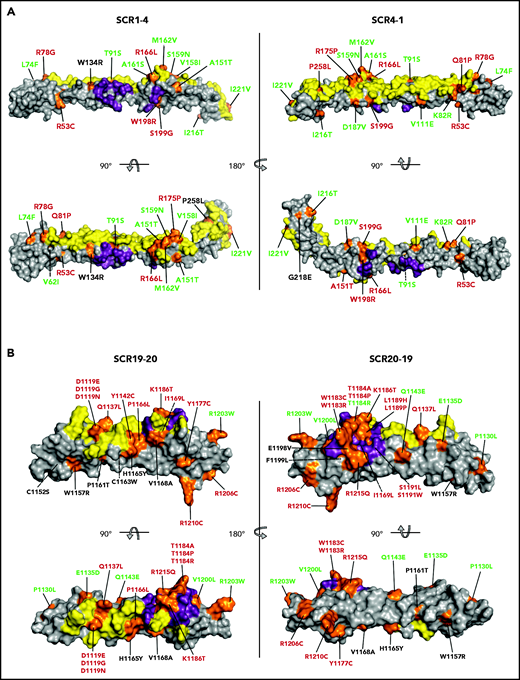 Mapping of the tested FH variants. FH N-terminal (A) and C-terminal (B) crystal structure. The surfaces that interact with C3b (N terminus) and C3d (C terminus) are depicted in yellow. The FI-interacting surface in the N terminus and the sialic acid binding site in the C terminus are depicted in purple. The position of all variants is indicated in orange. FH variant classification codes are based on functional assay results: benign (green), nonexpressed (black), and functionally impaired (red).