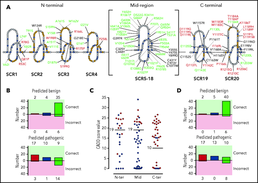 Distribution of the tested FH variants in the FH sequence. (A) Schematic representation of the amino acid sequence of the 20 FH SCRs. Amino acids corresponding to the SCR consensus sequence are depicted in black, those functionally relevant are in yellow, and all other amino acids are in gray. FH variant classification codes are based on functional assay results: benign (green), nonexpressed (black), and functionally impaired (red). (B) Breakdown of CADD computational predictions using a default score value cutoff of 15: benign predictions (upper panel) and pathogenic predictions (lower panel). Residue types from left to right are “SCR consensus,” “functionally relevant,” and “other.” (C) Distribution of FH classified experimentally as pathogenic (red dots) or benign (green dots) according to CADD scores. Horizontal lines indicate the selected cutoff for each FH region. (D) Breakdown of CADD computational predictions using adjusted score value cutoff according to functional domain: benign predictions (upper panel) and pathogenic predictions (lower panel). Residue types from left to right are “SCR consensus,” “functionally relevant,” and “other.”