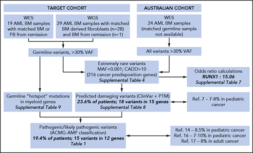 Germline variant analysis flowchart for TARGET and Australian childhood AML cohorts. Germline variant curation workflow for WES and WGS data from TARGET and Australian cohorts and summary of results. PTM, premature termination mutation, includes frameshift indels, stop gain, or splice acceptor/donor site variants in tumor suppressor genes. BM, bone marrow; PB, peripheral blood; WES, whole-exome sequence; WGS, whole-genome sequencing.