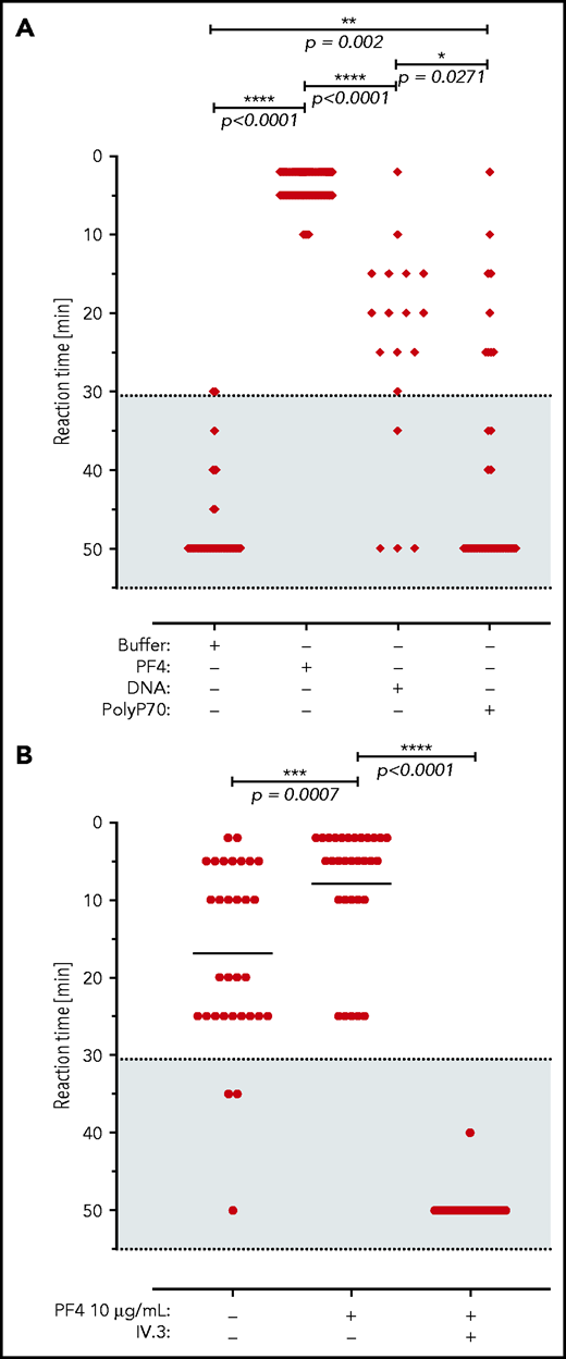 VITT patient antibodies activate platelets in a PF4, FcγRIIA, and polyanion dependent manner. (A) Platelet activation by VITT sera in the presence of buffer (n = 60 independent experiments), PF4 (n = 78), DNA (n = 18), and short-chain polyphosphate (polyP70; n = 29). Numbers refer to total experiments with 14 VITT sera and healthy donor platelets. A shorter reaction time indicates stronger platelet activation. Patient sera and platelet donors were selected for these experiments by assessing those VITT sera that did not induce strong platelet activation in the presence of buffer to enable cross-reactivity testing. (B) Sera of VITT patients were incubated with washed platelets from healthy donors in the presence or absence of PF4 (10 µg/mL) and/or monoclonal antibody IV.3, which blocks the platelet FcγRIIA receptor (n = 31). Datasets were compared using Wilcoxon matched-pairs signed rank test.