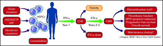IFNα therapy has been shown to deplete the MPN HSPC pool through activation and exit from a quiescent state and induction of differentiation. These biological effects seem to be influenced by driver mutation status, JAK2V617F homozygosity, and dosing approach. The clinical implication of the findings from Mosca et al is shown here in the context of other recognized predictors of IFNα outcome. The goal of therapeutic intervention in ET/PV is primarily thrombotic risk reduction, which is believed to be achieved through attainment of a CHR and secondarily disease course modification through a CMR. CHR, complete hematologic remission; CMR, complete molecular remission; VAF, variant allele frequency.
