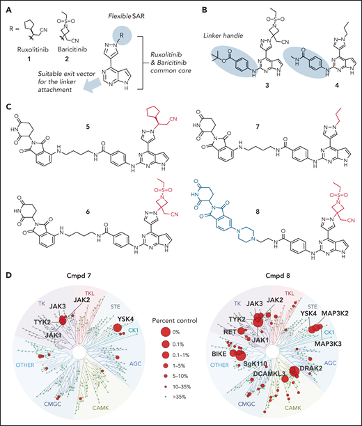 Design principles, molecular structure and properties of JAK PROTACs. (A) PROTAC design strategy. (B) Structures of key intermediates 3 and 4, containing the linker handle. (C) Structures of PROTACs 5 through 8. (D) TREEspot visualization of the kinome selectivity profile of compound (Cmpd) 7 (left panel) and Cmpd 8 at 100 nM concentration (Kinome Scan).