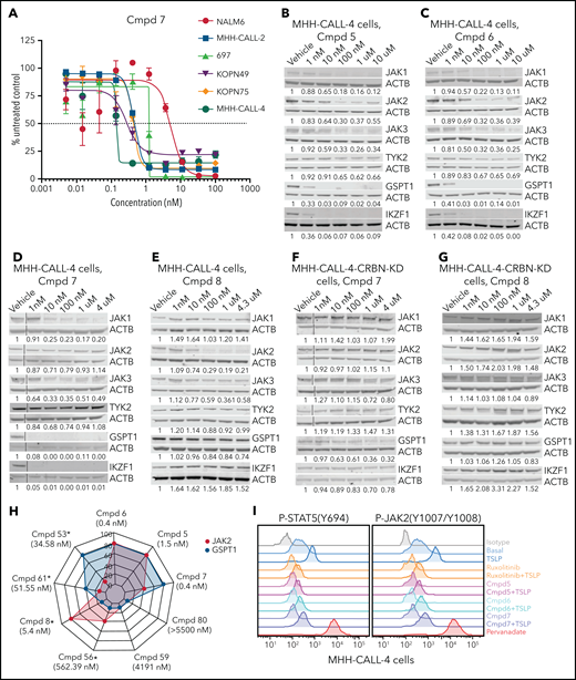 Protein degradation, cytotoxicity, and effect of PROTAC compounds on JAK-STAT signaling pathway in MHH–CALL-4 cells. (A) Cytotoxicity of compound (Cmpd) 7 in 6 ALL cell lines (72-hours incubation). Dose-dependent degradation of JAKs, GSPT1, and IKZF1 by Cmpd 5 (B), Cmpd 6 (C), Cmpd 7 (D), and Cmpd 8 (E) in MHH–CALL-4 cells. Protein degradation by Cmpd 7 (F) and Cmpd 8 (G) in MHH–CALL-4 cells with CRBN knockdown (KD). (H) Spider chart showing 50% effective concentration of 9 representative PROTACs and degradation of JAK2 and GSPT1 in MHH–CALL-4 cells. Numbers within the web are the percentages of protein degradation normalized to vehicle control. The structures of Cmpd 53, 56, 59, 61, and 80 are shown in supplemental Figure 5. *50% Effective concentration was determined based on partial cytotoxicity curve; detailed information is summarized in supplemental Table 7. (I) Phosphoflow analysis of JAK-STAT5 signaling pathway in MHH–CALL-4 cells treated or not with 25 ng/mL TSLP. For inhibition, cells were treated with 1 µM ruxolitinib or PROTACs for 1 hour before TSLP stimulation.