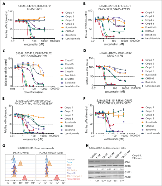 Ex vivo cytotoxicity and protein degradation by PROTACs in patient-derived xenograft ALL cells. (A-F) Response of multiple ALL xenografts of different genotypes to PROTACs in stromal cell–based ex vivo cytotoxicity assays. (G) Ex vivo phosphoflow analysis of xenograft SJBALL021415 cells harvested from bone marrow of NSG mice. (H) Ex vivo dose-dependent degradation of JAK2 and GSPT1 protein by compound 8 in xenograft SJBALL021415 cells. Cmpd, compound.