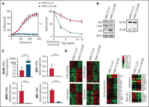 GLI3R behaves as a tumor suppressor. (A) Time course of proliferation and viability for HMC1.2 cells transduced with lentiviral vectors expressing tdTomato-GLI3R or tdTomato-control, by the IncuCyte imaging system. Cell viability was determined by light scatter measurement by FACS. (B) Immunoblot of GLI3, Bcl2, c-Myc, and p21 in HMC1.2 cells transduced with the 2 tdTomato vectors indicated above. (C) Relative gene expression of GLI3, GLI1, AKT, and c-Myc in transduced HMC1.2 cells. Data are from 3 independent experiments. (D) Transcriptional profiling of the transduced HMC1.2 cells using RNA-seq. Differentially expressed genes involved in cell death (z score, 2.58), apoptosis (z score, 3.02), viability (z score, −2.46), and cell proliferation (z score, −2.27) are highlighted by the heat maps (see “Methods”). Selection of 23, 13, and 8 differentially expressed genes, respectively involved in cell proliferation, apoptosis and MC activation is represented. Green and red intensities indicate the degree of downregulation and upregulation, respectively. ****P < .0001.