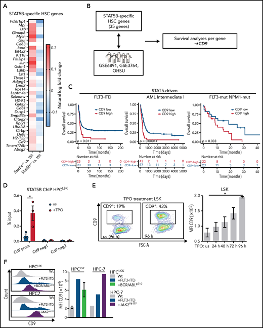 CD9 as marker and direct target of pYSTAT5B signaling. (A) 35 STAT5B-specific HSC genes. Color scale indicates % ln of fold-change difference between Stat5a−/− or Stat5b−/− and WT. (B) Schematic workflow: genes from panel A were analyzed for their expression levels-based influence on patient survival in STAT5-driven patient cohorts GSE6891 (FLT3-ITD), GSE37642 (Intermediate I), OHSU (FLT3-mut., NPM1-mut.), and the non–STAT5-driven cohort GSE37642 (Intermediate II). (C) Survival analyses comparing CD9-low vs CD9-high expressing patients in the STAT5-driven cohorts GSE6891 (FLT3-ITD), GSE37642 (Intermediate I), and OHSU (FLT3-mut., NPM1-mut.). (D) STAT5B chromatin immunoprecipitation (ChIP)–quantitative polymerase chain reaction: Quantification of STAT5B binding to the Cd9 promoter (prom) or negative regions (neg1 and neg2) in HPCLSK WT cells, unstimulated (us), or after 30 minutes of TPO stimulation (n = 3, mean ± SEM). (E) CD9 expression changes after culture with TPO. (i) Representative CD9 FACS plots of in vitro cultured WT LSK cells with or without (us) TPO after 96 hours. (ii) Quantification of CD9 expression of WT LSK cells after TPO treatment for 24, 48, 72, and 96 hours (n = 2, mean ± SEM). (F) Analysis of CD9 expression in HSC lines expressing STAT5B-driving oncoproteins. Representative histograms of CD9 expression (i) and quantification of CD9 levels of HPCLSK WT (ii) (n = 3, mean ± SEM), +FLT3-ITD, +BCR/ABLp210 (n = 3, ±SEM), and HPC-7 WT, FLT3-ITD, or JAK2V617F. Levels of significance were calculated using a log-rank test (C), and an unpaired Student t test in (D). Levels of significance were calculated using the Friedman test (E). *P < .05.