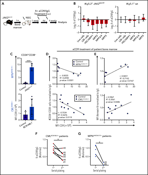 CD9 as a therapeutic target for pYSTAT5-driven leukemia. (A-B) JAK2V617F transplantation with aCD9 in vivo treatment. (A) Experimental workflow. (B) Log2 fold changes (aCD9 vs IgG) of HSC subpopulations and total BM cell numbers of (i) Ly5.2+ JAK2V617F donors or (ii) Ly5.1+ WT NSG recipients (n = 4 per treatment, mean ± SEM, 4× 1.25 mg/kg IV IgG or aCD9 were applied). (C) Analysis of CD9 expression in CD34+CD38− cells of (i) MPNJAK2V617F+ (n = 4) and (ii) CMLBCR/ABL1+ (n = 6) patient and control (n = 4) BM. (D-E) In vitro treatment of control and patient BM cells either treated with IgG or aCD9 (2 µg/mL). XY plots showing CD9 levels and (D) CD34+CD38− cell numbers or (E) Annexin-V levels of control (n = 4) and (i) MPNJAK2V617F+ (n = 3) or (ii) CMLBCR/ABL1+ patient BM mononuclear cells (n = 6). (F) Serial plating assays of CMLBCR/ABL1+ patient (n = 6) BM either treated with IgG or aCD9. Fold changes of aCD9/IgG colony numbers in the first and second plating. (G) Serial plating assays of MPNJAK2V617F+ patient (n = 5) BM either treated with IgG or aCD9. Fold changes of aCD9/IgG colony numbers in the first and second plating. Levels of significance were calculated using an unpaired Student t test (C), and a paired Student t test (F-G). Levels of significance and correlation were calculated using Pearson in panels D-E. *P < .05; ***P < .001.