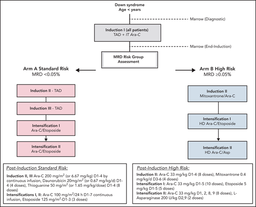 Study design of AAML1531.