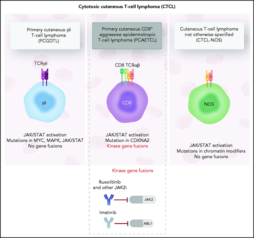 The 3 types of cytotoxic CTCL evaluated in the study by Lee et al. Although transcriptional analysis revealed upregulation of JAK/STAT3 signaling in all 3 cytotoxic CTCL entities, JAK2 fusions were found to be restricted to the CD8+ aggressive epidermotropic T-cell lymphoma. Professional illustration by Somersault18:24.
