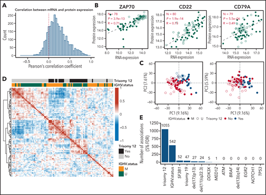 Global protein and RNA expression in CLL. (A) Distribution of Pearson’s correlation coefficient of mRNA and protein expression across 91 patient samples (main cohort). (B) Scatterplots comparing mRNA and protein expression (log2-transformed and median-normalized mRNA and protein intensities) for ZAP70, CD22, and CD79A. Each point represents a patient sample. P values and coefficients are from Pearson’s correlation tests. (C) Scatterplots showing PC analyses based on the expression of all quantified proteins. (D) Heatmap visualization of the Pearson correlation coefficients for all samples, calculated from the expression values of all detected proteins. Matrix rows and columns are ordered according to hierarchical clustering. (E) Number of differentially expressed proteins (FDR = 5%, Benjamini-Hochberg procedure) in the main cohort for individual disease drivers in CLL.