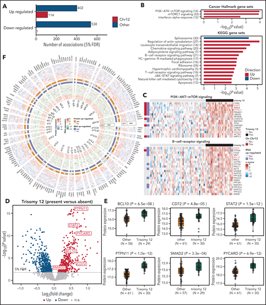 Protein expression in trisomy 12 CLL. (A) Number of differentially expressed proteins encoded by chromosome 12 genes (red) and genes on other chromosomes (blue). (B) Gene set enrichment analysis of differentially expressed genes (FDR = 5%). (C) Heatmaps of expression Z score of differentially expressed proteins annotated as BCR or PI3K-AKT-MTOR signaling pathway components in samples with and without trisomy 12. (D) Volcano plot of differential protein expression. (E) Normalized expression values for selected proteins. (F) A circular heatmap plot showing the protein expression (outer layer) and RNA expression (inner layer) of genes encoded on chromosome 12 in patient samples with and without trisomy 12. The 2 tracks in the middle indicate the differential expression call (summarized across samples) at the protein and RNA levels. Genes are ordered by genomic coordinates on chromosome 12.