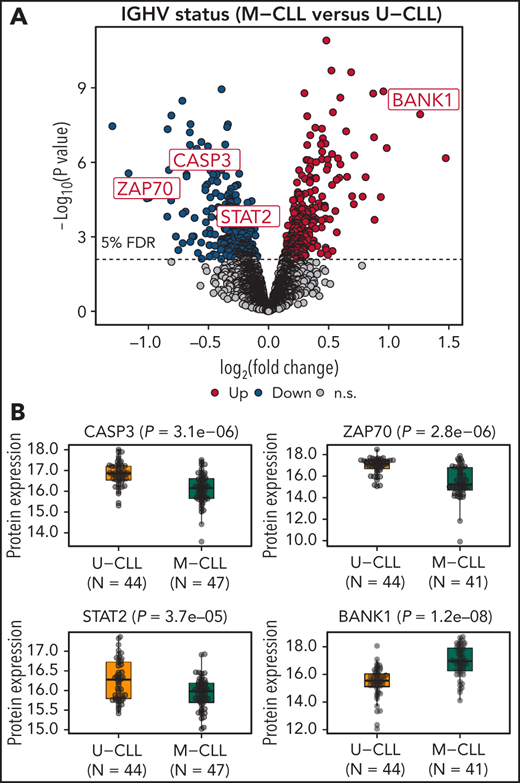 Protein expression in M-CLL vs U-CLL. (A) Volcano plot. (B) Normalized expression for specific proteins in M-CLL and U-CLL.