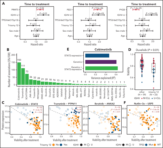 Protein expression in CLL explains drug response and clinical outcome. (A) Hazard ratios and P values of known risks plus protein expressions (PRMT5, PYGB, and PES1) using multivariate Cox regression models for predicting TTT. (B) Number of significant associations (FDR = 5%) of protein expression with responses to individual drugs as assessed in an ex vivo drug screen. (C) Exemplary ex vivo drug response and protein expression correlations. (D) Association between ex vivo response to the PI3K inhibitor duvelisib and trisomy 12. (E) Explanatory power of STAT2 protein expression, genetics, and combined STAT2 protein expression and genetics for drug response to cobimetinib. (F) Exemplary ex vivo drug response and protein expression correlation.