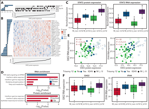 IGHV and trisomy 12 jointly affect interferon signaling through STAT2. (A) Visualization of fitted adaptive L1 (lasso) regularization multivariate models using IGHV status, mutations, and copy-number variations. The z scores of STAT2 protein expression are shown in the scatterplot at the bottom. The heatmap in the middle shows the predictor values, with black indicating the presence of mutation or copy-number variation. The model coefficients (averaged over 50 bootstrap samples) are shown by horizontal bars on the left. Only the features that were selected in all bootstrap samples are shown. (B) Analogous to A, for multivariate models using RNA and protein expression values, which are shown in the heatmap. (C) STAT2 protein and RNA expression stratified by IGHV and trisomy 12 status. (D) Cancer hallmark pathways enriched for RNAs and proteins associated with STAT2 protein expression after blocking for trisomy 12 and IGHV mutational status. (E) Associations between STAT2 protein expression and 2 interferon-induced genes, OAS2 and IFI44. (F) OAS2 and IFI44 RNA expression stratified by IGHV and trisomy 12 status.