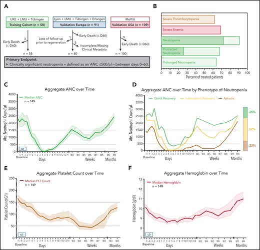 Incidence and temporal course of CAR T-cell–mediated hematotoxicity. (A) Cohort description: the primary end point could not be evaluated because of early death (n = 17), incomplete data collection (n = 5), or loss to follow-up before neutrophil recovery and day 60 (n = 1). (B) Proportional incidence of severe anemia (hemoglobin ≤8 g/dL or requiring transfusion), severe thrombocytopenia (platelet count ≤50 g/L), and severe neutropenia (ANC <500 cells per µL; light green) in all patients in the study (n = 235). Neutropenia was further subdivided into protracted (≥7 days) and prolonged (ANC < 1000 cells per µL after day 21). The darker shade of green indicates profound (ANC < 100 cells per µL) neutropenia. (C) Aggregated median ANC over time for 149 patients from the European training and validation cohorts (longitudinal complete blood count sampling was not obtained for the US validation cohort). Measured events per time point are provided in supplemental Table 3. Light shading depicts the 95% confidence intervals (CIs) of the median for each time point. Fludarabine-cyclophosphamide lymphodepletion (LD) was administered on days −5 to −3, and CAR T-cells were transfused on day 0. (D) Aggregated median ANC curves by clinical phenotype of neutrophil recovery. The bar represents the relative distribution of phenotypes. (E-F) Aggregated median platelet count and hemoglobin over time (n = 149). Abs., absolute; LMU, Ludwig Maximilian University; PLT, platelet.