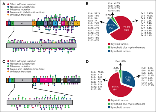 BCOR and BCORL1 mutations in hematologic malignancies. (A,C) The numbers indicate the coding exon, whereas the plots indicate the mutations in BCOR (A) and BCORL1 (C). Red plot = nonsense mutation; orange plot = silent in frame insertion; green plot = missense mutation; black plot = frameshift mutation (deletion + insertion); pink plot = unknown mutation. (B,D) Frequency of mutations for each BCOR (B) or BCORL1 (D) exon detected on myeloid neoplasms, lymphoid neoplasms, and in both of them.