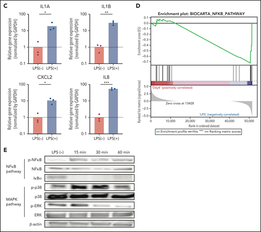 Gene expression profiling in expandable neutrophil-primed progenitors and neutrophil-like cells with or without lipopolysaccharide (LPS) stimulation. (A) Principal component analysis of the gene expression in neutrophil-primed progenitors enhanced by BCL-XL (NeuPs-XL) and neutrophil-like cells from NeuPs-XL (NeuCs-XL) with or without LPS stimulation. (B) Gene ontology analysis of differentially expressed genes in NeuPs-XL with or without 300 ng/mL LPS stimulation. X-axis: -log10(P value) of each term. Y-axis: significant enriched gene ontology term. (C) Gene expression of inflammatory cytokines in NeuCs-XL with or without LPS stimulations, using qPCR. Means of 3 independent experiments, with relative gene expression, normalized to GAPDH expression. Statistical significance was calculated using a Student t test. *P < .05, **P < .01, ***P < .001. (D) Gene set enrichment analysis of the NF-κB pathway in NeuCs-XL with or without LPS stimulation. (E) Phosphorylation and expression of proteins involved in NF-κB and MAPK pathway using NeuCs-XL with 15-, 30-, and 60-minute LPS stimulation or without LPS stimulation.