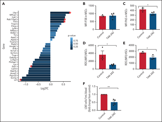 In vivo inhibition of TLR4 in SCD mice. (A) Clustering of genes related to TLR4 Gene Ontology pathway in SS vs SA MSCs from RNA-sequencing analysis. Red star indicates significant fold change (FC) (P ≤ .05); N = 4 mice per group. To investigate the effect of TLR4 inhibition in SCD mice, SS mice were injected with 1 mg/kg TAK-242 for 5 days to systemically inhibit TLR4 activity and compared with vehicle-injected SS mice (control). (B-E) Using flow cytometry, the mean fluorescence intensity (MFI) of p38 expression among bone marrow MSCs (B) and MFI of p65 expression among bone marrow MSCs (C) was determined. Furthermore, using flow cytometry, the MFI of DCFDA among MSCs in the bone marrow (D) and MFI of DCFDA among HSCs in the bone marrow (E) were assessed. (F) Peripheral blood hematopoietic stem and progenitor cell population marked by Lineage-Sca1+Ckit+Flt3– is represented as FC in number per mL relative to control. N = 3-4 mice for panels B-F. Data were analyzed with a 2-tailed, unpaired Student t test (B-F). Data are presented as mean ± standard error of the mean. *P ≤ .05, **P ≤ .01.