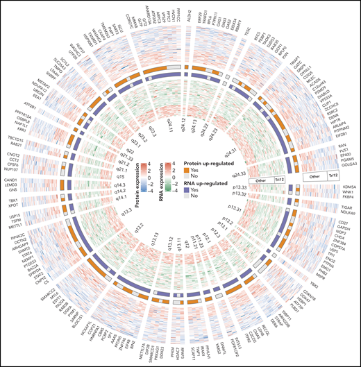 A part of complex systems analysis done by Meier-Abt et al. The figure illustrates circular heatmap plot of the data derived from integrative proteomics and transcriptomics analyses of proteins and RNAs encoded by genes on chromosome 12 of CLL patients with or without trisomy 12. Coordinated, uncoordinated, and contradictory changes of these two elements are clearly demonstrated. See figure 3F in the article by Meier-Abt et al that appears on page 2514.