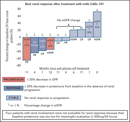 Analysis of best response of percentage change in 24-hour urine protein from baseline in renal-evaluable patients (baseline 24-hour urine protein of >500 mg/24 h and at least 1 postbaseline 24-hour urine protein measurement). Renal responders are denoted with deep blue bars (≥30% decrease in proteinuria or fall in 24-hour urine protein below 500 mg/24 h). Renal stable patients are denoted with light blue bars (neither response nor progression). Renal progressors are denoted by red bars (≥25% decrease in eGFR). For each individual patient, time since last exposure to antiplasma cell therapy (months), light chain disease type (κ or λ), and hematologic disease status at the time of study enrollment is reported.