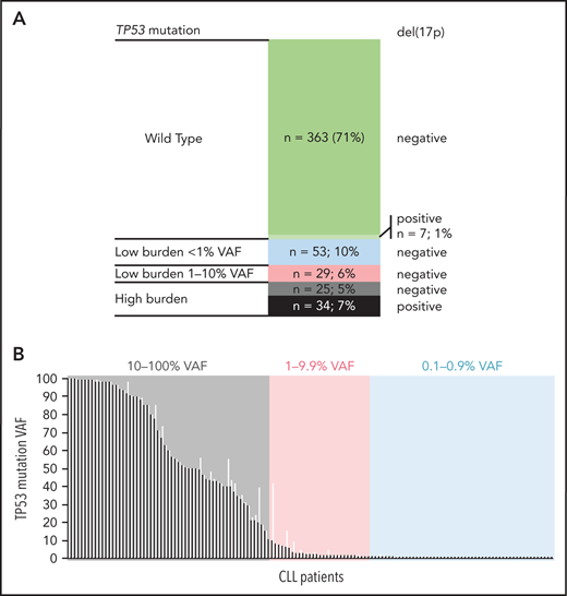 TP53 defects in the analyzed cohort. (A) Composition of TP53 defects. (B) TP53 mutations in 141 patients with CLL, in order according the highest VAF. Black, highest mutation VAF; white, cumulative mutation VAF.