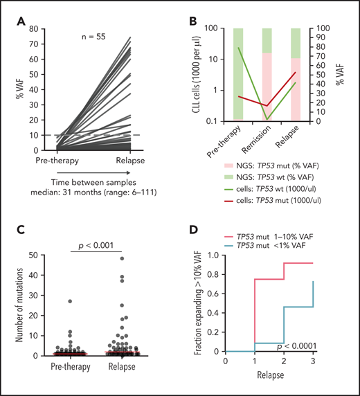 Clonal evolution of low-burden TP53 mutations in patients treated with first-line chemo- and/or immunotherapy. All patients analyzed in relapse and 3 patients with a TP53 mutation expanded in remission with no relapse sample available were included (n = 55; supplemental Figure 9). Mutation with the highest VAF was considered in each case, irrespective of whether it was the same mutation as in a pretreatment sample (for details, see supplemental Table 9). (A) Mutation burden before therapy and during relapse in patients with low-burden TP53 mutations. Dashed line, 10% VAF threshold. For cumulative VAF see supplemental Figure 10B. (B) Estimated fraction of TP53-mutated (TP53-mut) (red line) and TP53-wt cells (green line) before therapy, during remission and after TP53-mut/cnLOH expansion in relapse in patient 1507. Bars, NGS result (right y-axis). (C) Number of mutations before therapy and during relapse. Before treatment: multiple mutations in 18 of 82 (22%) patients, median 1 mutation per patient (range, 1-27); relapse: multiple mutations in 31 of 53 (58%) patients, median 2 mutations per patient (range, 1-48). Red line, median. (D) Proportion of patients, in whom the TP53 mutation exceeded 10% VAF threshold in relapse stratified according to pretherapy subclone size. In total, during median follow-up of 4.1 years (range, 1.3-11.6; median number of therapy lines 2, range 1-3) we observed that the TP53-mut subclone expanded above the 10% VAF threshold in 29 patients.