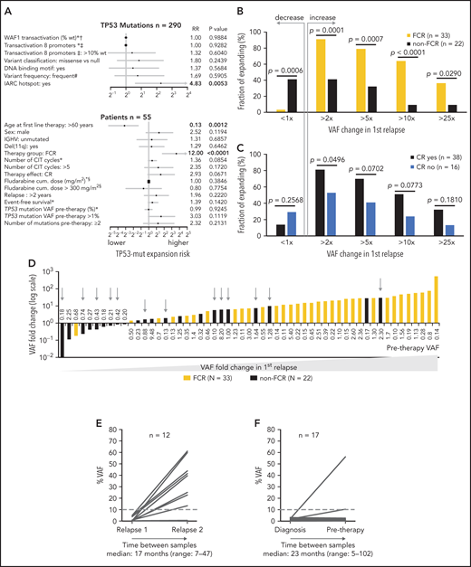 Factors influencing clonal expansion of TP53-mutated subclones. (A) Forrest plot depicting the factors influencing the risk of clonal expansion above the median fold change. *Continual parameter. †As assessed by Kato et al,47 data downloaded from Seshat.28 ‡Average of promoters: WAF1, MDM2, BAX, 14_3_3_s, AIP, GADD45, NOXA, and p53R2, as assessed by Kato et al,7 data downloaded from Seshat.28 Null mutations: nonsense, frameshift, and splice site. In frame mutations excluded from analysis. DNA binding motif as classified by Cho et al.48 #Frequency of mutations categorized according to Seshat28: frequent (very frequent+frequent) vs not frequent+rare+unique+never identified. CR, complete remission. §Fludarabine cumulative dose calculated in FCR-treated patients only. (B) Risk of clonal expansion for patients treated with FCR (orange) and other regimens (black). (C) Risk of clonal expansion for patients reaching (dark blue) and not reaching (light blue) CR. (D) Fold change in mutation proportion in first relapse compared with pretherapy sample in order according fold change. Logarithmic scale x-axis label shows pretherapy VAF. Patients treated with FCR are depicted in orange. Patients treated with other regimens are in black. Patients treated with BR are depicted with a gray arrow. (E) Mutation burden in the first and second relapse in patients with low-burden TP53 mutations treated with second-line FCR. Dashed line, 10% VAF threshold. For cumulative VAF see supplemental Figure 10C. (F) Mutation burden in untreated patients at diagnosis and before therapy in patients with low-burden TP53 mutations. Dashed line, 10% VAF threshold.
