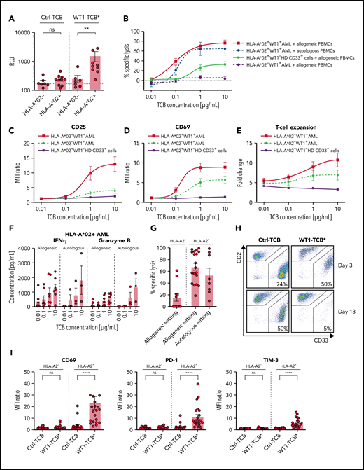 WT1-TCB–mediated T-cell cytotoxicity and T-cell activation. (A) Induction of downstream TCR signaling in NFAT Jurkat Reporter cells upon recognition of RMF peptide–MHC complexes on primary AML cells. Statistical analysis, Mann-Whitney U test (n = 10). (B) Dose-dependent specific lysis of primary HLA-A*02+ AML cells by allogeneic (black solid line; n = 9) or autologous (black dashed line; n = 3) PBMCs after 48 hours in short-term cytotoxicity assays with WT1-TCB. Controls: HLA-A*02+ WT1– CD33+ HD cells (gray solid line; n = 6) and primary HLA-A*02− AML cells (gray dashed line; n = 10). CD25 (C) and CD69 (D) expression on CD3+ T cells after 48 hours in killing assays with allogeneic PBMCs and primary HLA-A*02+ AML cells (black solid line; n = 9), primary HLA-A*02− AML cells (gray dashed line; n = 10), or HLA-A*02+ WT1− CD33+ HD cells (gray solid line; n = 6). (E) T-cell proliferation after 96 hours in killing assays with allogeneic PBMCs and primary HLA-A*02+ AML cells (black solid line; n = 8), primary HLA-A*02− AML cells (gray dashed line; n = 7), or HLA-A*02+ WT1− CD33+ HD cells (gray solid line; n = 3). (F) Secretion of interferon-γ (IFN-γ) and granzyme B in allogeneic and autologous settings after 72 hours in a short-term cytotoxicity assay with primary HLA-A*02 AML cells. (G) Specific lysis of primary AML cells by allogeneic T cells (left: HLA-A*02− AML, n = 11; center: HLA-A*02+ AML, n = 19) or autologous T cells (right: HLA-A*02+ AML, n = 8) after 10 to 13 days in long-term cocultures and treatment with WT1-TCB*. (H) Representative dot plots from flow cytometry analysis showing CD2 and CD33 expression in long-term coculture samples. (I) Upregulation of activation and surrogate exhaustion markers on CD3+ T cells on days 3 to 4 in long-term cocultures with primary HLA-A*02+ and HLA-A*02− AML cells (n = 14-22). Bars represent the mean ± SEM. Statistical analysis: Kruskal-Wallis test and subsequent Dunn’s test. **P < .01, ****P < .0001. MFI, mean fluorescence intensity; n.s., not significant; RLU, relative luminescence units.
