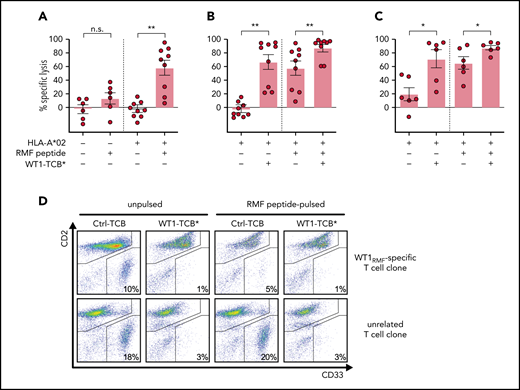 WT1-TCB* vs WT1-specific T cells. (A) Specific lysis of unpulsed and RMF peptide–pulsed primary AML cells from HLA-A*02− and HLA-A*02+ patients by WT1RMF-specific T-cell clone after 3 days in feeder layer–based long-term cocultures. Specific lysis was calculated by subtraction of unspecific lysis by HD T cells under the same conditions (n = 6-9). (B) Specific lysis of primary AML cells after 3 days in feeder layer–based long-term cocultures with WT1RMF-specific T-cell clone and treatment with WT1-TCB* compared with HD T cells (n = 9). (C) Specific lysis of primary AML cells (all NPM1 wild-type) after 3 days in feeder layer–based long-term cocultures with WT1RMF-specific T-cell clone and treatment with WT1-TCB*. Specific lysis was calculated by subtraction of unspecific lysis by a T-cell clone targeting an unrelated epitope of mutated NPM1 (n = 6 ). (D) Representative dot plots from flow cytometry analysis showing CD2 and CD33 expression in lysis experiments. Bars represent mean ± SEM. Statistical analysis: Mann-Whitney U test. *P < .05, **P < .01. n.s, not significant.