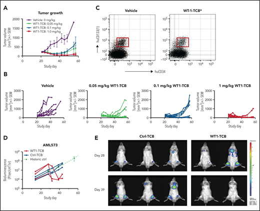 Antitumor efficacy of WT1-TCB in humanized mouse models. (A-B) Tumor growth curves of the SKM-1 model in hSC-NSG mice treated once weekly with vehicle control or 0.05, 0.1, or 1 mg/kg of WT1-TCB. (C) Cytometric analysis of the CD34+CD133+ stem cell population in the bone marrow of SKM-1 tumor-bearing hSC-NSG mice engrafted with cord blood from HLA-A*02+ donors after 54 days of treatment with WT1-TCB*. (D-E) Tumor growth in AML PDX mice (AML573) treated once weekly with 3 mg/kg WT1-TCB or Ctrl-TCB beginning on day 30, assessed by in vivo imaging. One WT1-TCB–treated mouse died during imaging on day 32.