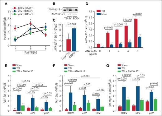 ANV-6L15 blocked the assembly of extrinsic tenase complexes on EVs. (A) Time-dependent changes in the circulating EVs in peripheral blood samples from TBI mice (n = 9 mice per group, 1-way ANOVA; *P < .05; BDEVs vs pEVs and eEVs, no statistical difference between pEVs, and eEVs). (B) ANV-6L15-bound EVs concentrated from TBI mice and BDEVs made in vitro were detected by immunoblots (representative of 3 separate experiments). (C) ANV-6L15 bound more BDEVs than did heterogeneous EVs from TBI mice (n = 10 mice per group, Student t test). (D) ANV-6L15-bound EVs concentrated from TBI and sham mice in a dose-dependent fashion (detected by a FITC-anti-ANV antibody, n = 9 mice per group, 1-way ANOVA; *P < .001; **P < .01 vs untreated). (E-G) FVII (E), FXa (F), and fibrinogen (G) were detected on the surfaces of EVs from TBI mice, with the highest levels found on BDEVs. ANV-6L15 reduced the formation of the tenase complex (n = 9 mice per group, Kruskal-Wallis 1-way ANOVA on ranks).
